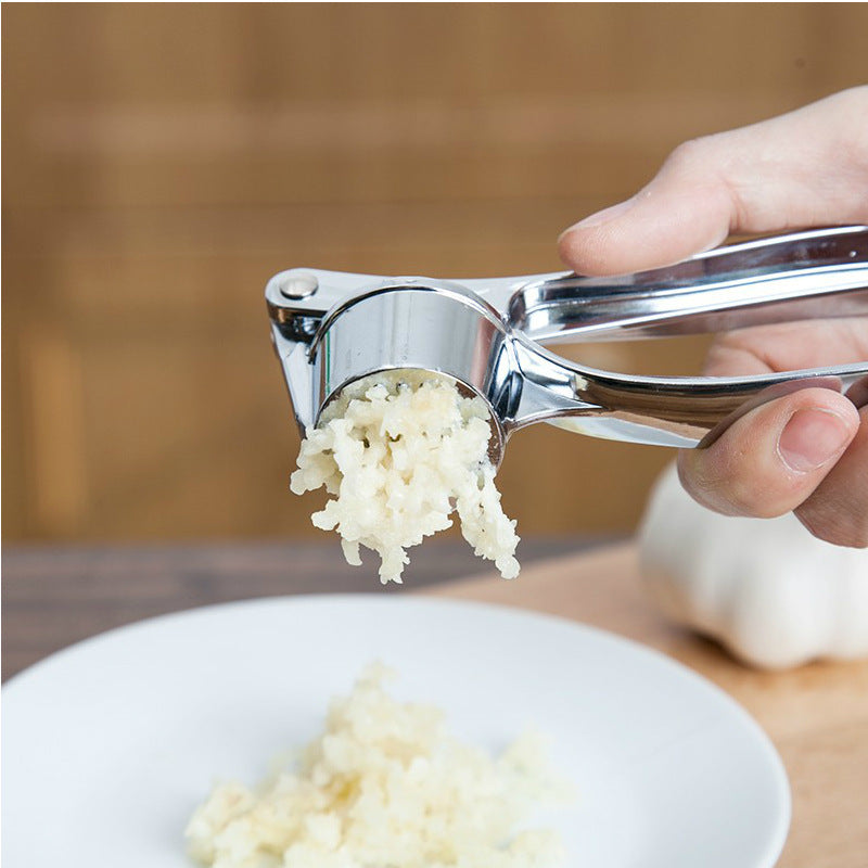 Stainless Steel Garlic Press